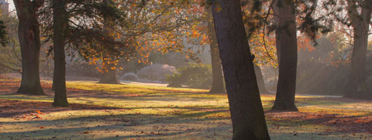 在线DDOS攻击平台